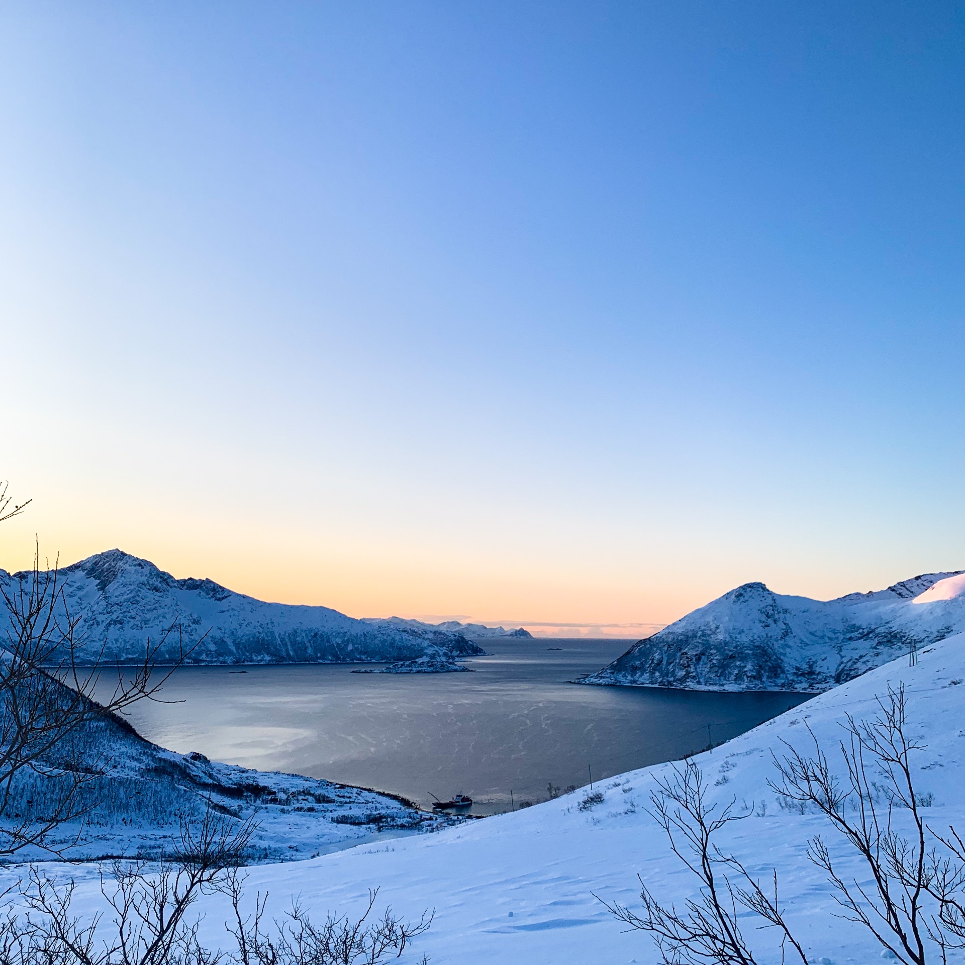 Soft winter light at noon on Kvaløya, near Tromsø. February 2020